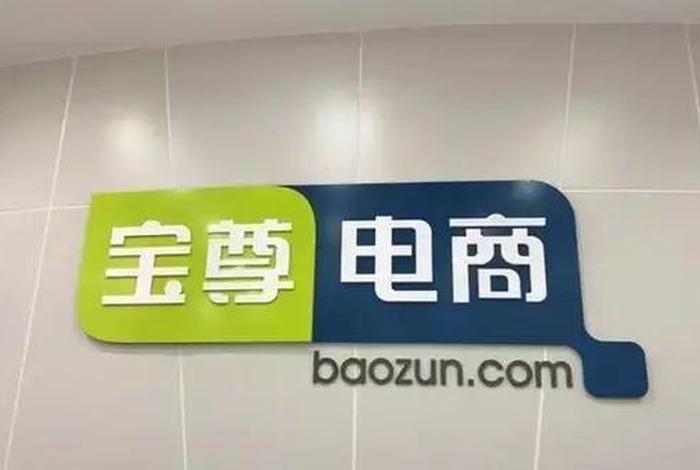 宝尊电商是干什么的啊；宝尊电商是做什么的