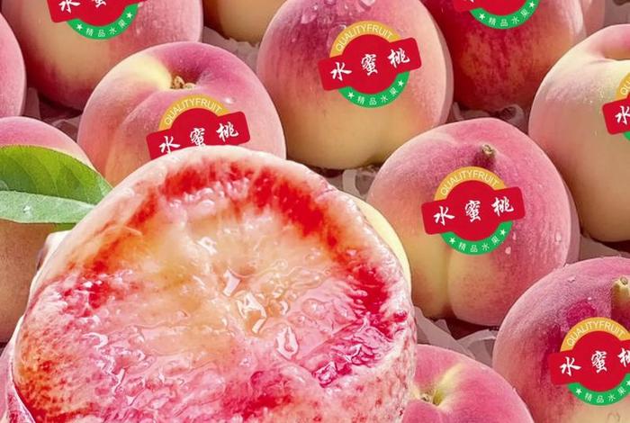 桃子是什么购物平台 - 桃子是什么购物平台的 桃子是什么购物平台 - 桃子是什么购物平台的