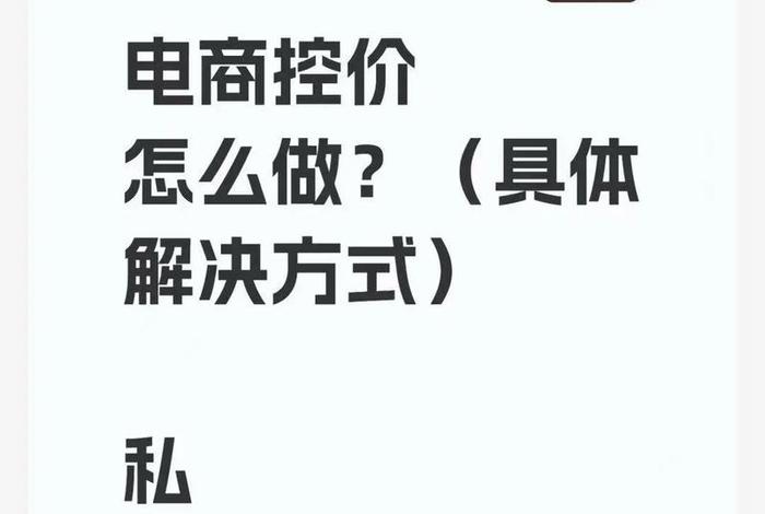 电商控价第三方公司是怎么控价的，电商控价第三方公司是怎么控价的呢