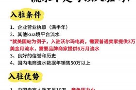 入驻电商带货什么意思 入驻电商带货什么意思啊