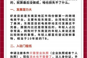 虾皮跨境电商平台官网下载，虾皮跨境电商平台官网下载app