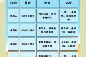 跨境电商培训班学费多少 跨境电商培训班学费多少钱