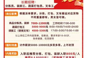 电商招聘岗位，电商招聘岗位2024最新招聘