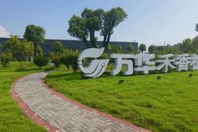 万华集团电商（万华集团电商官网入口）