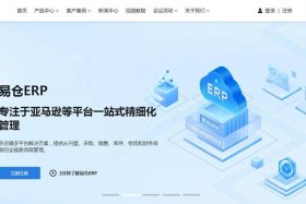 电商SaaS、电商SaaS服务