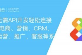 电商开发平台api、电商app开发服务平台