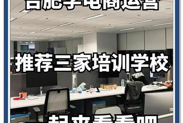 合肥电商学院,合肥电商学院官网 合肥电商学院,合肥电商学院官网