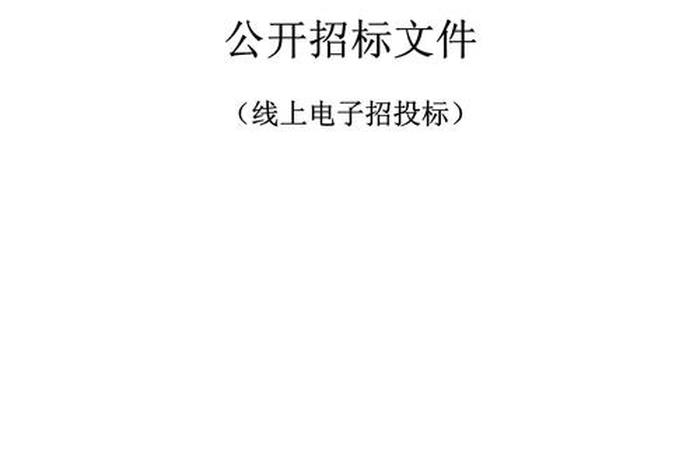 电商服务平台招标文件（电商服务平台招标文件模板）