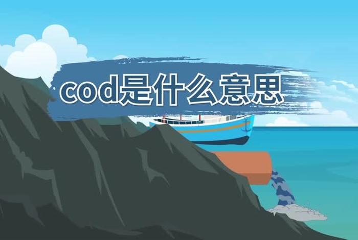 跨境电商cod是什么意思 - 跨境电商cod是什么意思啊