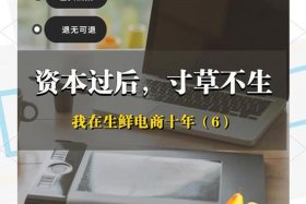 生鲜电商巨头；生鲜电商巨头排行榜