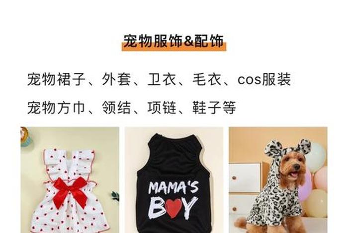 宠物用品电商属于什么类目、宠物用品电商属于什么类目的 宠物用品电商属于什么类目、宠物用品电商属于什么类目的