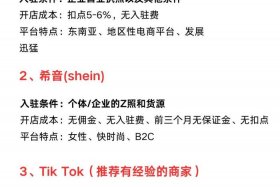 怎样做跨境电商平台赚钱，怎样做跨境电商平台赚钱呢