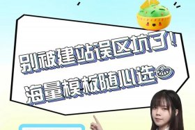 建设电商网站哪个平台比较好、建设电商网站哪个平台比较好呢