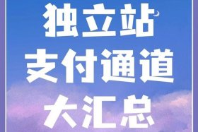 跨境电商支付平台是什么（跨境电商支付平台是什么意思）