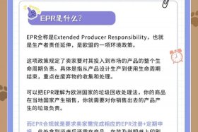 电商epr是什么意思 - 电商epr是什么意思啊