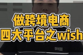 wish跨境电商百度百科，wish跨境电商的特点
