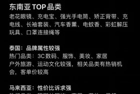 tk跨境电商平台官网是干什么的 在tiktok可以挂的跨境电商平台有哪些
