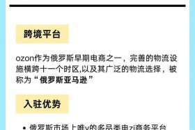 ozon电商平台个人入驻；ozon电商平台入驻流程