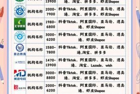 珠海跨境电商机构、珠海跨境电商机构排名