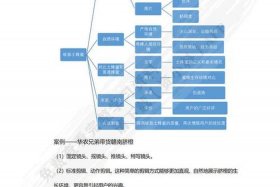 农产品电商新玩法 农产品电商新玩法介绍