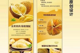 水果农产品电商怎么做、水果农产品电商怎么做的