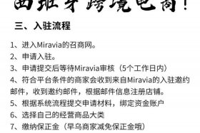 miravia跨境电商入驻流程、mercari跨境电商