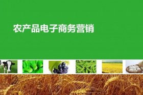 电商农业app；电商农业的出现减少留守儿童