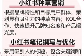 小红书电商负责人；小红书电商负责人电话