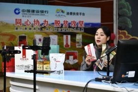 A电商 - A电商扶贫公司对某扶贫地区以特色农产品进行网上销售