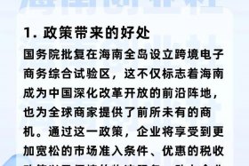 海南跨境电商公共服务平台官网，海南跨境电商公共服务平台官网首页