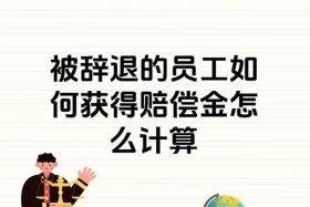 宝尊电商辞退员工、宝尊电商辞退员工怎么赔偿