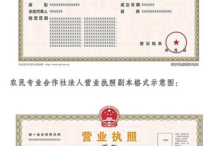 电商营业执照起名（电商营业执照起名要求）