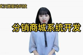 微商城分销系统开发、微分销,微商城的开发