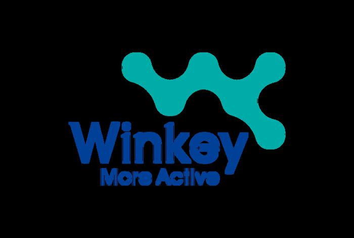 深圳赛维跨境电商品牌有哪些，深圳赛维跨境电商品牌有哪些公司