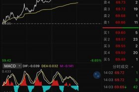南极电商的股吧、南极电商的股吧是什么