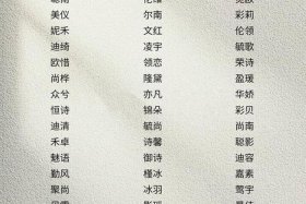 好听的电商店铺名字、好听的电商店铺名字大全