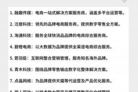电商十大代运营公司（电商十大代运营公司排名）