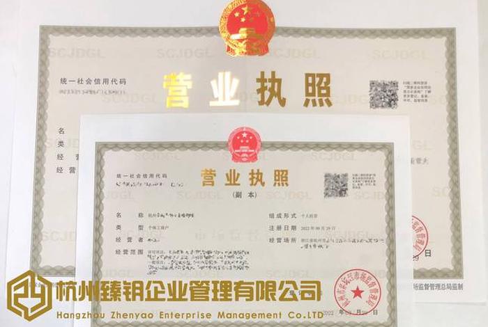 跨境电商营业执照组织形式怎么填、跨境电商营业执照组织形式怎么填写