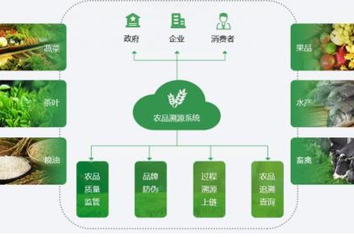 农村电商模式有哪几种 - 农村电商模式有哪几种类型 农村电商模式有哪几种 - 农村电商模式有哪几种类型