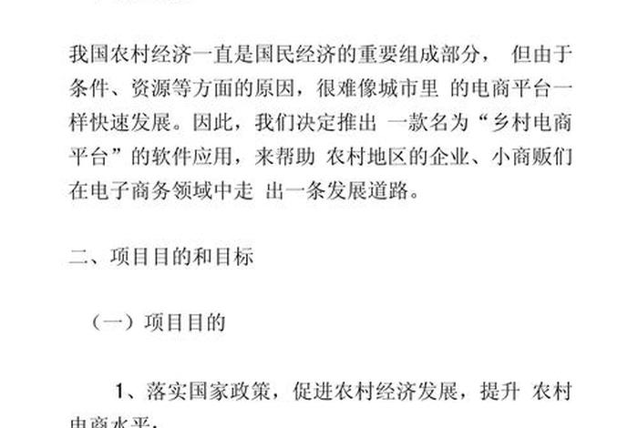 电商项目规划 - 电商项目发展规划 电商项目规划 - 电商项目发展规划