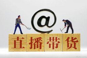 垂直电商带货视频（垂直电商带货视频大全）