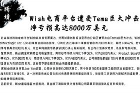 wish是跨境电子商务平台吗 - 为什么说wish平台是跨境电商主流平台中的黑马？