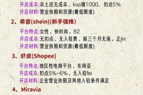 新手小白做跨境电商怎么选择平台 新手小白做跨境电商选哪个平台