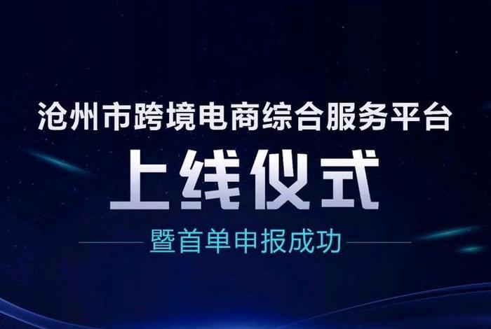 电商服务平台入口，电商服务平台入口官网