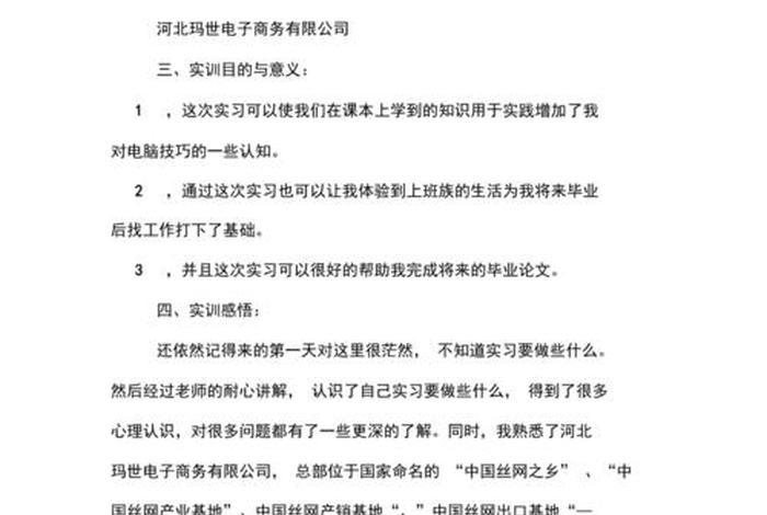 电商实训报告怎么写、电商实训报告怎么写范文