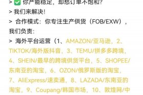 传统外贸跨境转型、传统外贸跨境转型案例