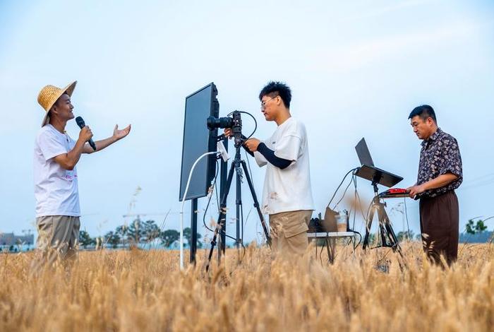 垄上电视台直播（垄上行电视台直播）