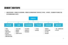 电商运营团队架构搭建方案（电商运营团队架构搭建方案范文）