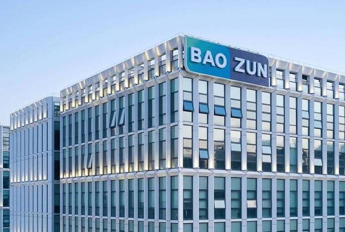 宝尊电商哪个上市公司持股 宝尊电商哪个上市公司持股的 宝尊电商哪个上市公司持股 宝尊电商哪个上市公司持股的