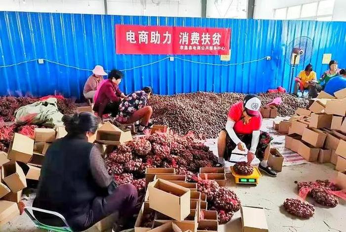 乡村电商创业商机 - 乡村电商创业商机是什么 乡村电商创业商机 - 乡村电商创业商机是什么